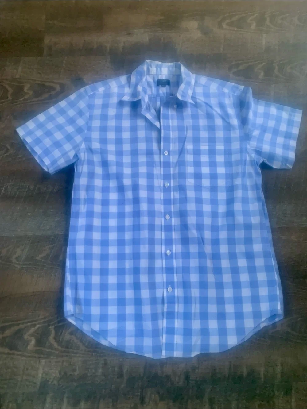 J. Crew Cottagecore Blue Gingham Short-Sleeve Button-Up Shirt